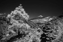 au loin le teide.jpg